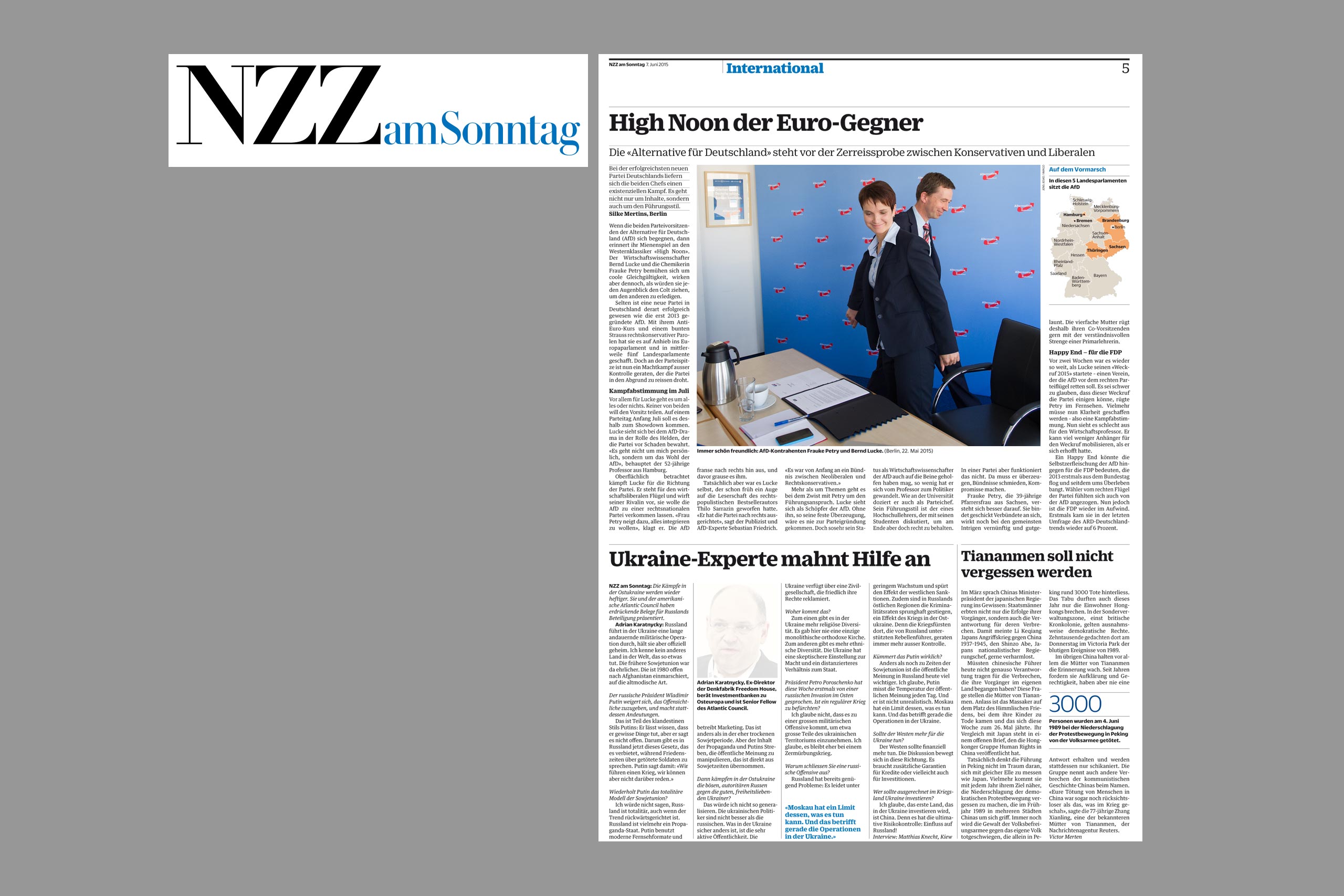 2016 nzz lucke petry